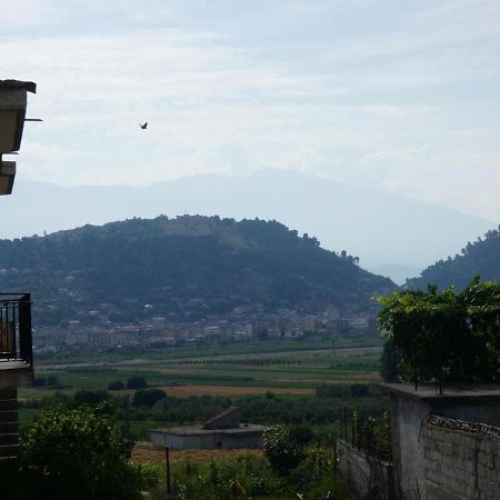 Guesthouse Aleksander Berat Dış mekan fotoğraf